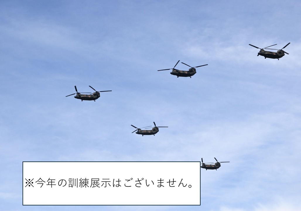 ＣＨ４７ＪＡが一様に飛ぶ写真